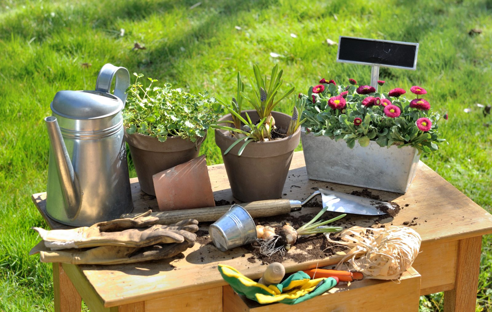 Dodatki za vrt so me precej presenetili